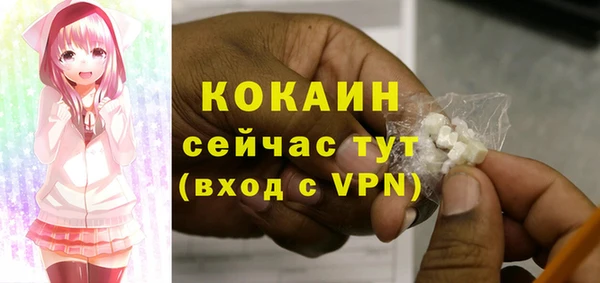 стаф Бородино