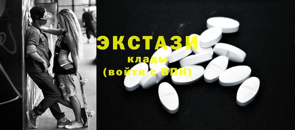 гидра Богородицк
