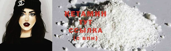 стаф Бородино