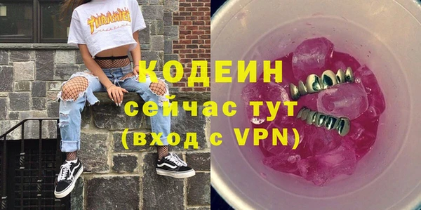 стаф Бородино