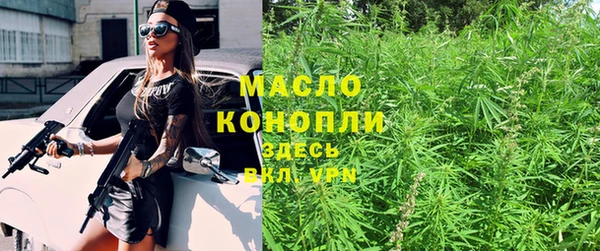 стаф Бородино