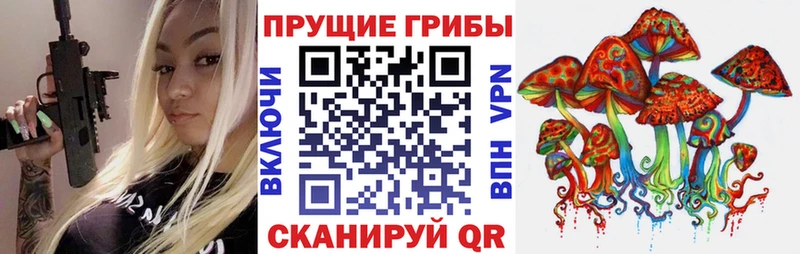 Псилоцибиновые грибы Magic Shrooms  наркотики  Гусев 
